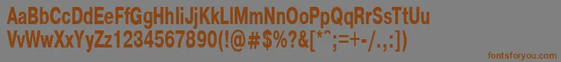 PragmaticaBold65b Font – Brown Fonts on Gray Background