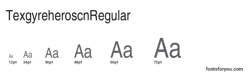 TexgyreheroscnRegular Font Sizes