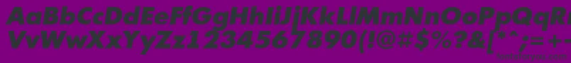 AFuturicablackItalic Font – Black Fonts on Purple Background