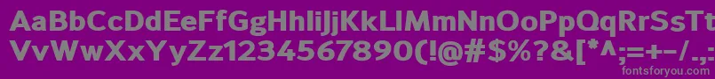 SavileHeavy Font – Gray Fonts on Purple Background