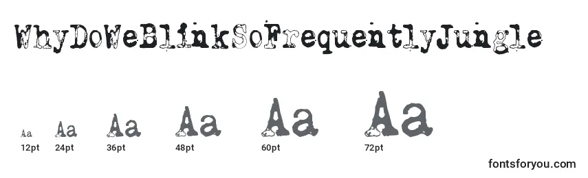 WhyDoWeBlinkSoFrequentlyJungle Font Sizes