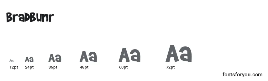 Bradbunr Font Sizes