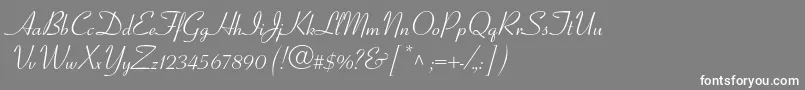 フォントCoronetltstdRegular – 灰色の背景に白い文字