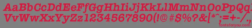 TypewriterserialBolditalic Font – Red Fonts on Gray Background