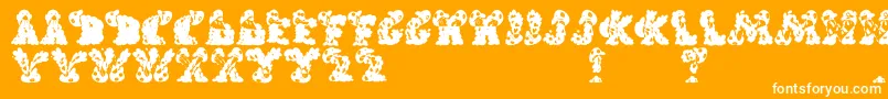 Handlinormal Font – White Fonts on Orange Background