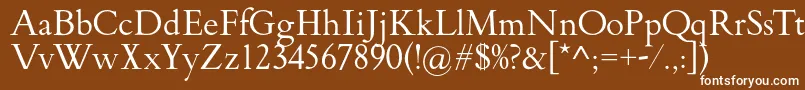 FlankerGriffo Font – White Fonts on Brown Background