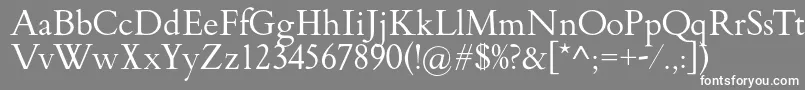 フォントFlankerGriffo – 灰色の背景に白い文字