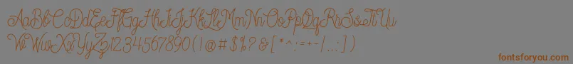Dreamcatcherspersonaluse Font – Brown Fonts on Gray Background
