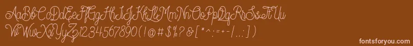 Dreamcatcherspersonaluse Font – Pink Fonts on Brown Background