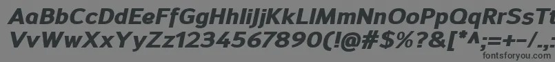 SavileHeavyitalic Font – Black Fonts on Gray Background