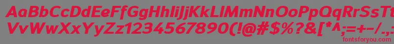 SavileHeavyitalic Font – Red Fonts on Gray Background
