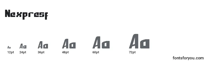 Nexpresf Font Sizes