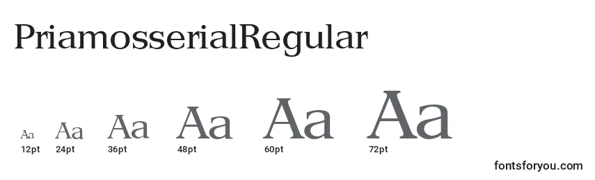 Размеры шрифта PriamosserialRegular