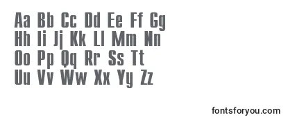 Review of the UkrainiancompactBold Font