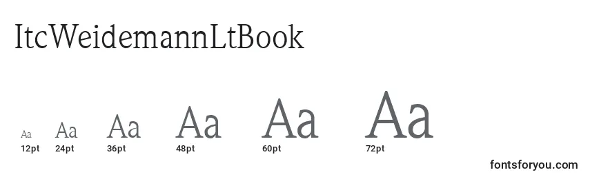 Размеры шрифта ItcWeidemannLtBook