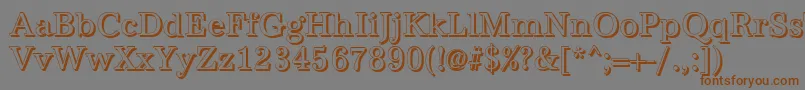 AntiquashCdRegular Font – Brown Fonts on Gray Background