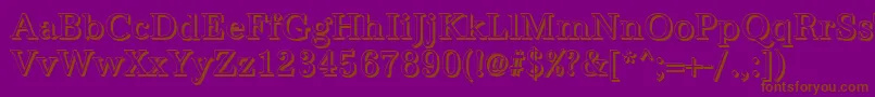 AntiquashCdRegular Font – Brown Fonts on Purple Background