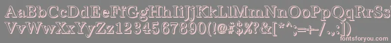 AntiquashCdRegular Font – Pink Fonts on Gray Background