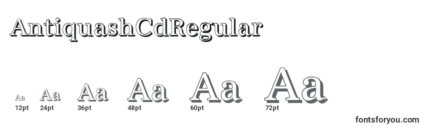 Размеры шрифта AntiquashCdRegular
