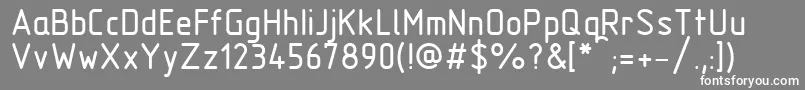 フォントGost2.304B – 灰色の背景に白い文字