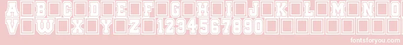 QuaterbackFightCampus Font – White Fonts on Pink Background