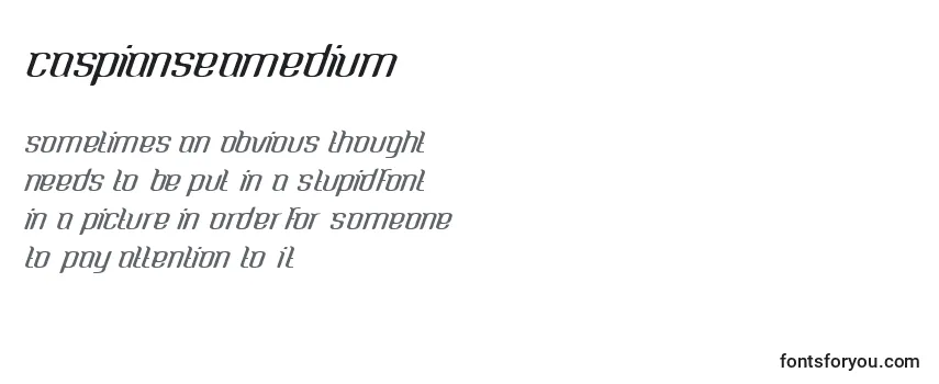 CaspianseaMedium (87422) フォントのレビュー