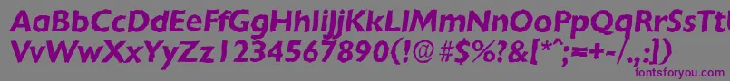 ChantillyrandomBolditalic Font – Purple Fonts on Gray Background