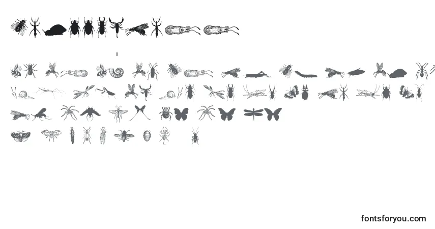 Czcionka GrissomFree – alfabet, cyfry, specjalne znaki