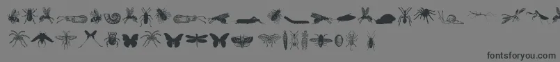 フォントGrissomFree – 黒い文字の灰色の背景