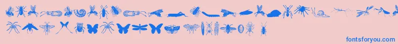 GrissomFree Font – Blue Fonts on Pink Background