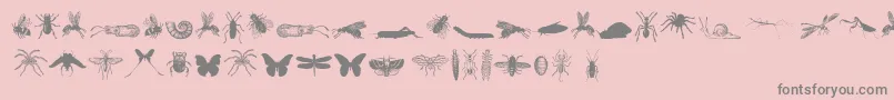 フォントGrissomFree – ピンクの背景に灰色の文字