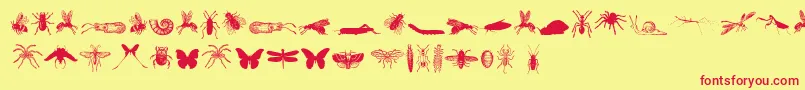 GrissomFree Font – Red Fonts on Yellow Background
