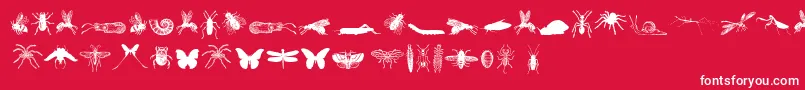 GrissomFree Font – White Fonts on Red Background