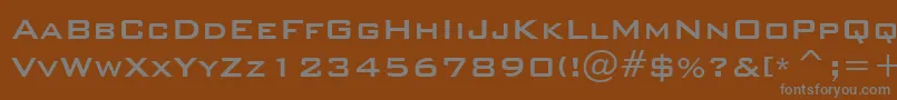 BankgothicMdBtMedium Font – Gray Fonts on Brown Background