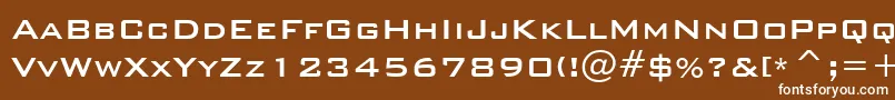 BankgothicMdBtMedium Font – White Fonts on Brown Background