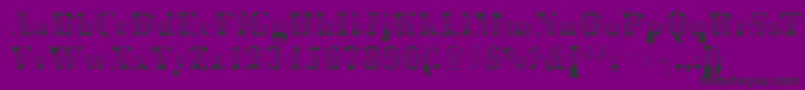 BodoniarrowRegular Font – Black Fonts on Purple Background