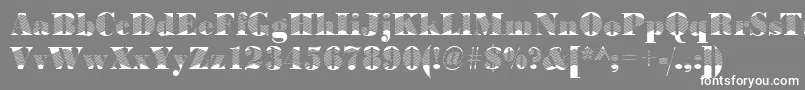 BodoniarrowRegular Font – White Fonts on Gray Background