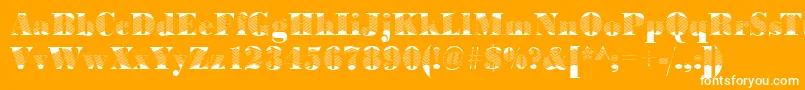 BodoniarrowRegular Font – White Fonts on Orange Background