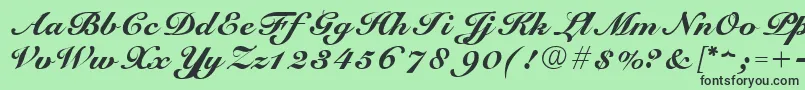 ScriptRoundhandNormal Font – Black Fonts on Green Background