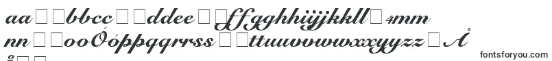 ScriptRoundhandNormal Font – Polish Fonts