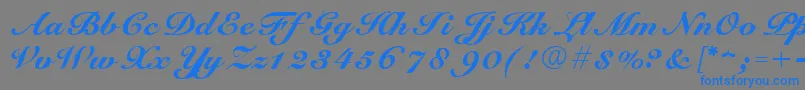 ScriptRoundhandNormal Font – Blue Fonts on Gray Background