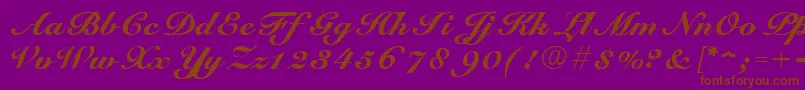 ScriptRoundhandNormal Font – Brown Fonts on Purple Background