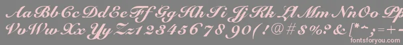 ScriptRoundhandNormal-Schriftart – Rosa Schriften auf grauem Hintergrund