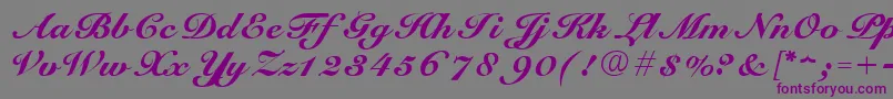 ScriptRoundhandNormal Font – Purple Fonts on Gray Background