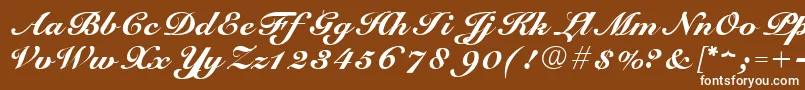 ScriptRoundhandNormal Font – White Fonts on Brown Background