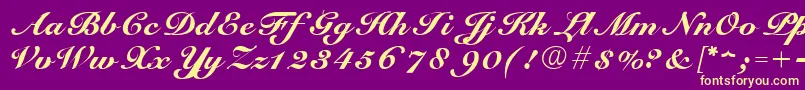 ScriptRoundhandNormal Font – Yellow Fonts on Purple Background