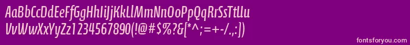 CalciteproRegular Font – Pink Fonts on Purple Background