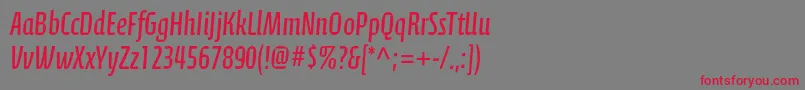 CalciteproRegular-Schriftart – Rote Schriften auf grauem Hintergrund