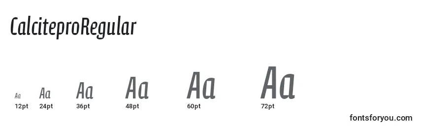 CalciteproRegular Font Sizes