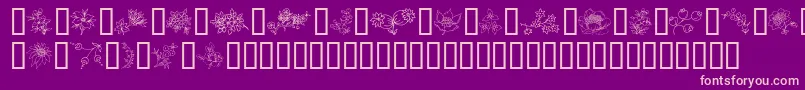 Więcej informacji o czcionce TraditionalFloralDesign Czcionka TraditionalFloralDesign – różowe czcionki na fioletowym tle